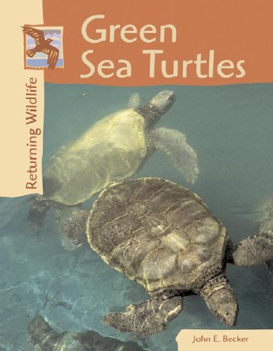 9780737718317: Green Sea Turtles