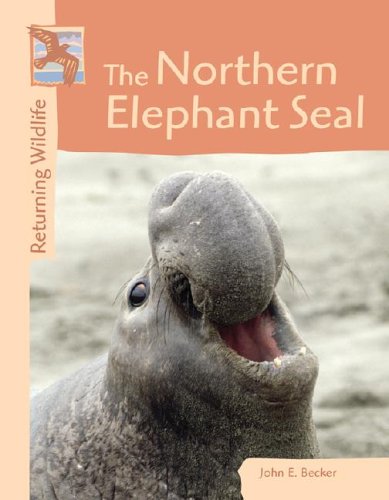 Beispielbild fr The Northern Elephant Seal zum Verkauf von Better World Books