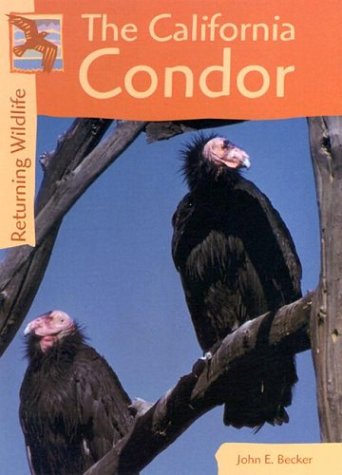 Imagen de archivo de The California Condor a la venta por Better World Books