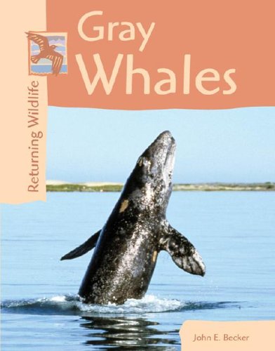 Beispielbild fr Gray Whales zum Verkauf von Better World Books
