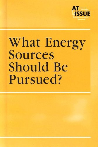 Imagen de archivo de What Energy Sources Should Be Pursued? a la venta por Better World Books