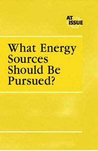 Beispielbild fr What Energy Sources Should zum Verkauf von Better World Books