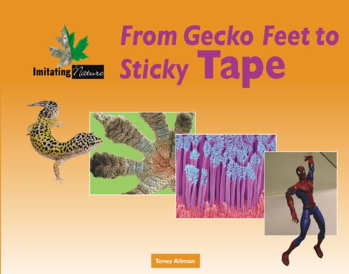 Beispielbild fr From Gecko Feet to Sticky Tape zum Verkauf von ThriftBooks-Atlanta