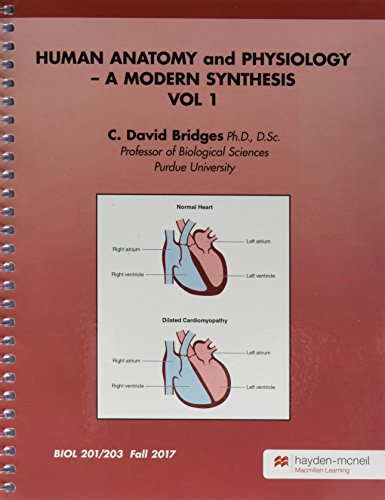 9780738095691: Biology 201/203 Human Anatomy & Physiology, A Modern Synthesis, Vol 1