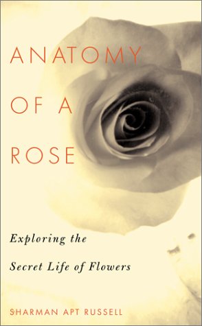 Anatomy Of A Rose: Exploring The Secret Life Of Flowers