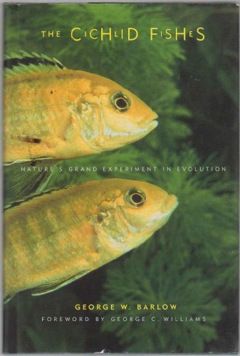 Stock image for Cichlid Fishes : Nature's Grand Experiment in Evolution for sale by Better World Books