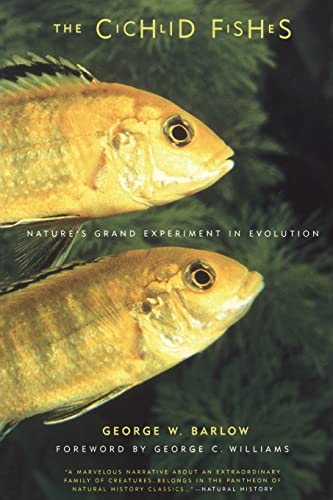 Beispielbild fr The Cichlid Fishes: Natures Grand Experiment In Evolution zum Verkauf von Bookoutlet1
