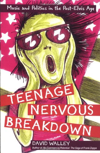 Stock image for Teenage Nervous Breakdown: Music and Politics in the Post-Elvis Age for sale by Jeanne D'Arc Books