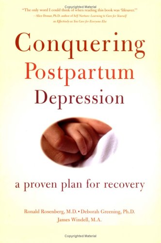 Beispielbild fr Conquering Postpartum Depression : A Proven Plan for Recovery zum Verkauf von Better World Books