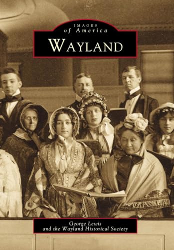 Stock image for Wayland for sale by Better World Books