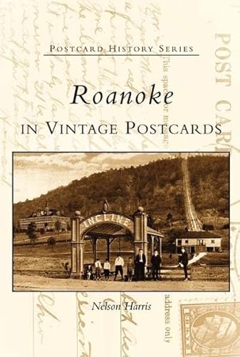 Stock image for Roanoke in Vintage Postcards (VA) (Postcard History Series) for sale by SecondSale
