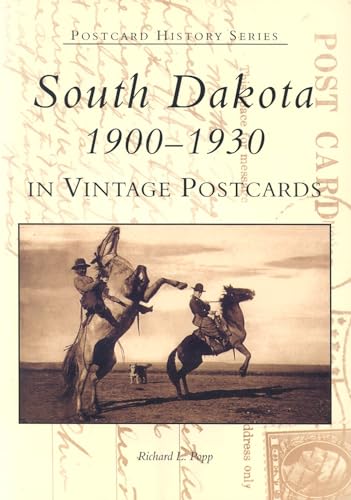 Stock image for South Dakota In Vintage Postcards: 1900-1930 (SD) (Postcard History Series) for sale by HPB-Diamond
