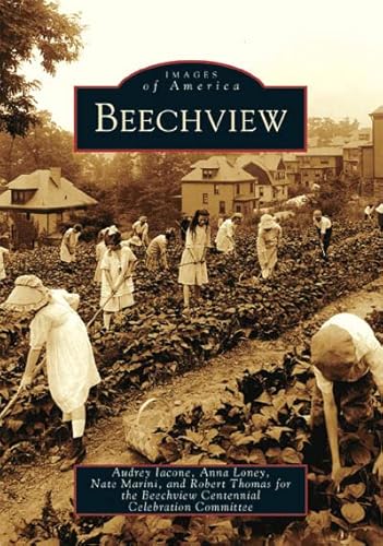 9780738537887: Beechview (Images of America)