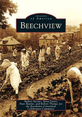 9780738537887: Beechview (PA) (Images of America)