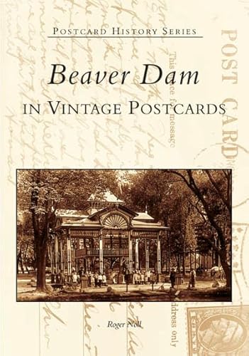 Stock image for Beaver Dam in Vintage Postcards (WI) (Postcard History Series) for sale by Wizard Books