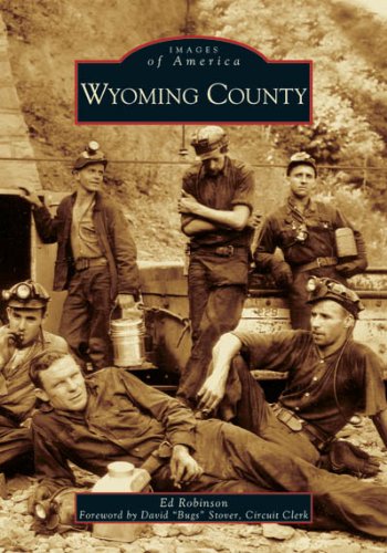 Wyoming County (Images of America) (9780738541730) by Robinson, Ed