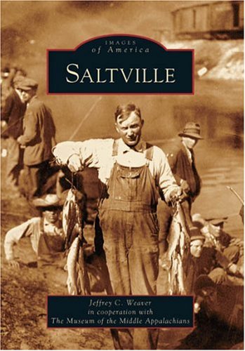 Stock image for Saltville (VA) (Images of America) for sale by HPB-Ruby