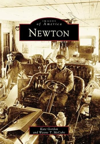 Imagen de archivo de Newton a la venta por Kennys Bookshop and Art Galleries Ltd.
