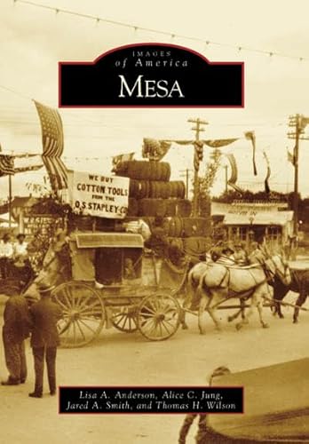 Imagen de archivo de Mesa (Images of America: Arizona) a la venta por SecondSale