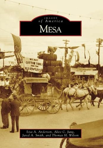 9780738548425: Mesa (Images of America)