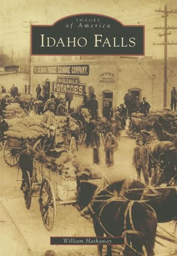 Beispielbild fr Idaho Falls zum Verkauf von Blackwell's