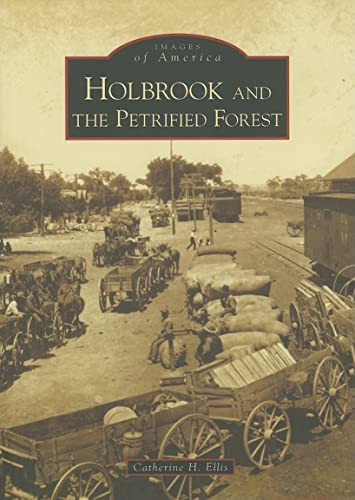 9780738548852: Holbrook and the Petrified Forest (Images of America)