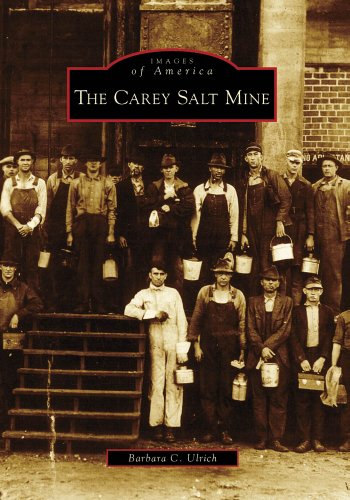 Imagen de archivo de The Carey Salt Mine (Images of America: Kansas) a la venta por HPB-Movies