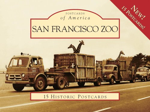 9780738569161: San Francisco Zoo (Postcards of America)