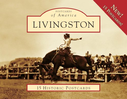 Beispielbild fr Livingston (Postcards of America) zum Verkauf von Ebooksweb