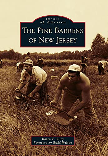 Stock image for The Pine Barrens of New Jersey (Images of America) for sale by Zubal-Books, Since 1961