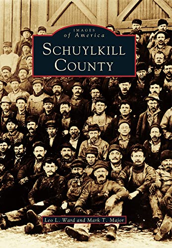 Imagen de archivo de Schuylkill County (Images of America) a la venta por HPB-Emerald