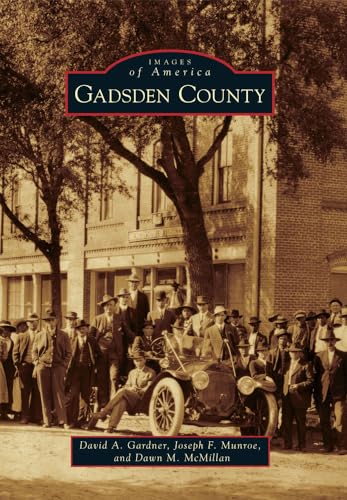 Imagen de archivo de Gadsden County a la venta por ThriftBooks-Atlanta