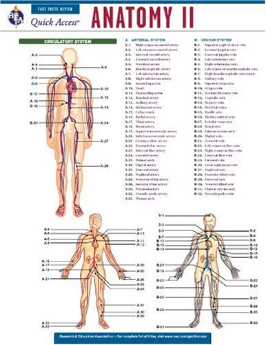 Imagen de archivo de Anatomy 2 - REA's Quick Access Reference Chart (Quick Access Reference Charts) a la venta por Better World Books