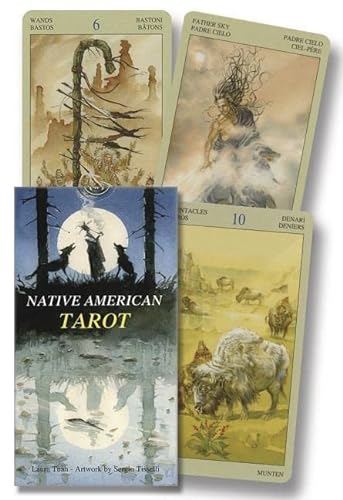 9780738705989: Native American Tarot