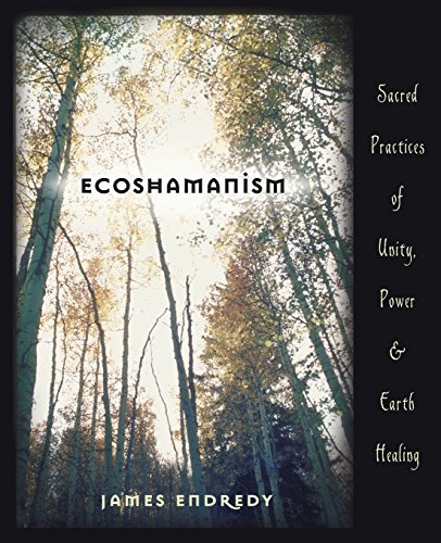 Stock image for Ecoshamanism: Sacred Practices of Unity, Power and Earth Healing for sale by Half Price Books Inc.