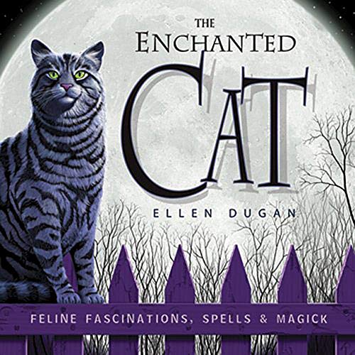 Stock image for The Enchanted Cat: Feline Fascinations, Spells and Magick for sale by Goodwill of Colorado