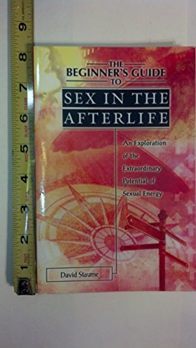 9780738707730: The Beginner's Guide to Sex in the Afterlife: An Exploration of the Extraordinary Potential of Sexual Energy