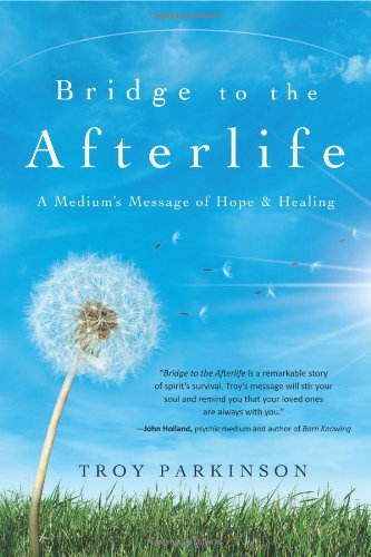 Stock image for Bridge to the Afterlife : A Medium's Message of Hope and Healing for sale by Better World Books