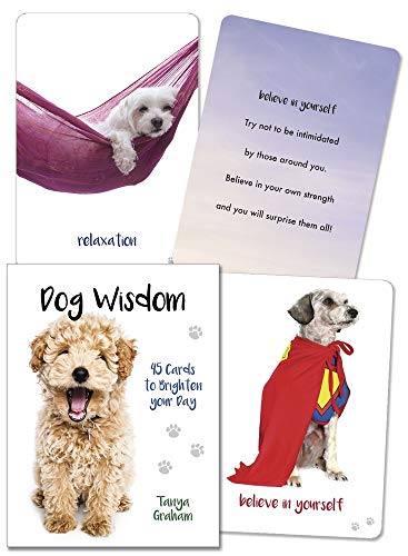 Stock image for Dog Wisdom Cards for sale by GF Books, Inc.