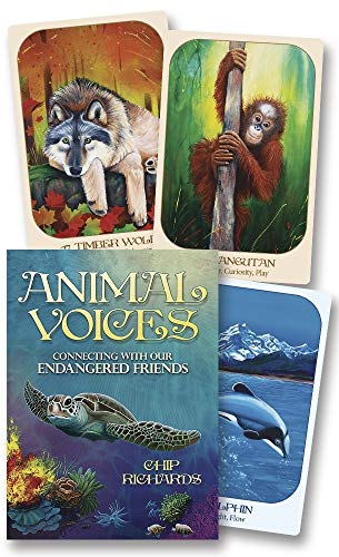 Stock image for Animal Voices Oracle: Connecting with Our Endangered Friends for sale by GF Books, Inc.