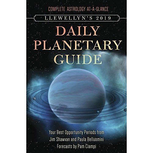 Stock image for Llewellyn's 2019 Daily Planetary Guide: Complete Astrology At-A-Glance for sale by SecondSale