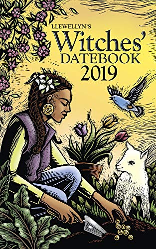 9780738746166: Llewellyn's 2019 Witches' Datebook