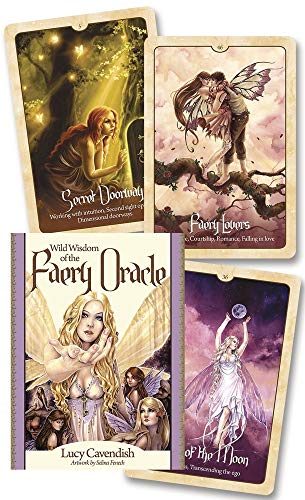 9780738746791: Wild Wisdom of the Faery Oracle