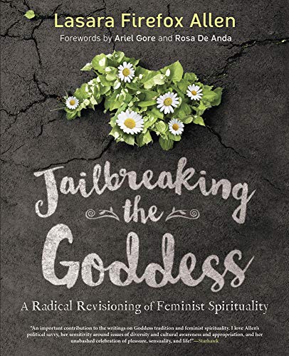 Imagen de archivo de Jailbreaking the Goddess: A Radical Revisioning of Feminist Spirituality a la venta por Idaho Youth Ranch Books