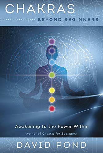 Beispielbild fr Chakras Beyond Beginners: Awakening to the Power Within zum Verkauf von ThriftBooks-Dallas