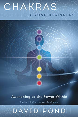 9780738748597: Chakras Beyond Beginners: Awakening to the Power Within: 1