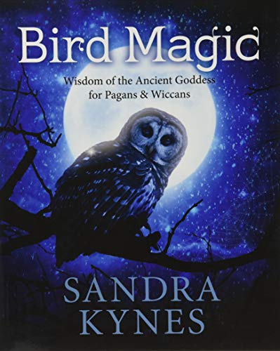 Beispielbild fr Bird Magic: Wisdom of the Ancient Goddess for Pagans Wiccans zum Verkauf von Goodwill of Colorado