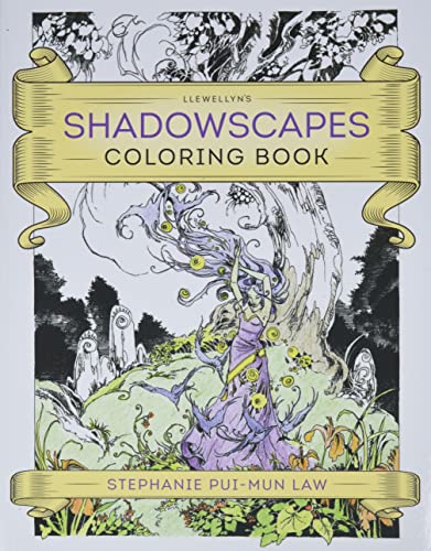 Beispielbild fr Llewellyn's Shadowscapes Coloring Book zum Verkauf von Half Price Books Inc.