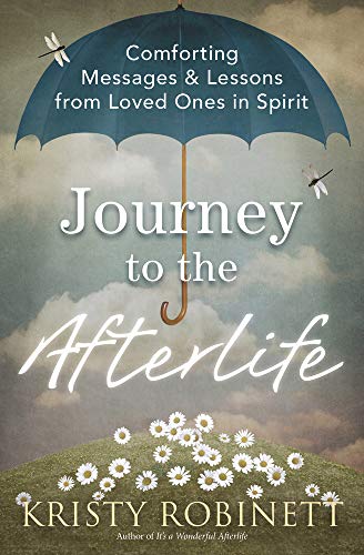 Stock image for Journey to the Afterlife: Comforting Messages & Lessons from Loved Ones in Spirit for sale by Dream Books Co.