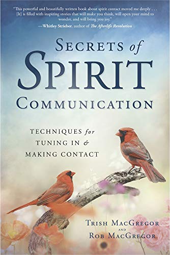 Imagen de archivo de Secrets of Spirit Communication: Techniques for Tuning In & Making Contact a la venta por SecondSale